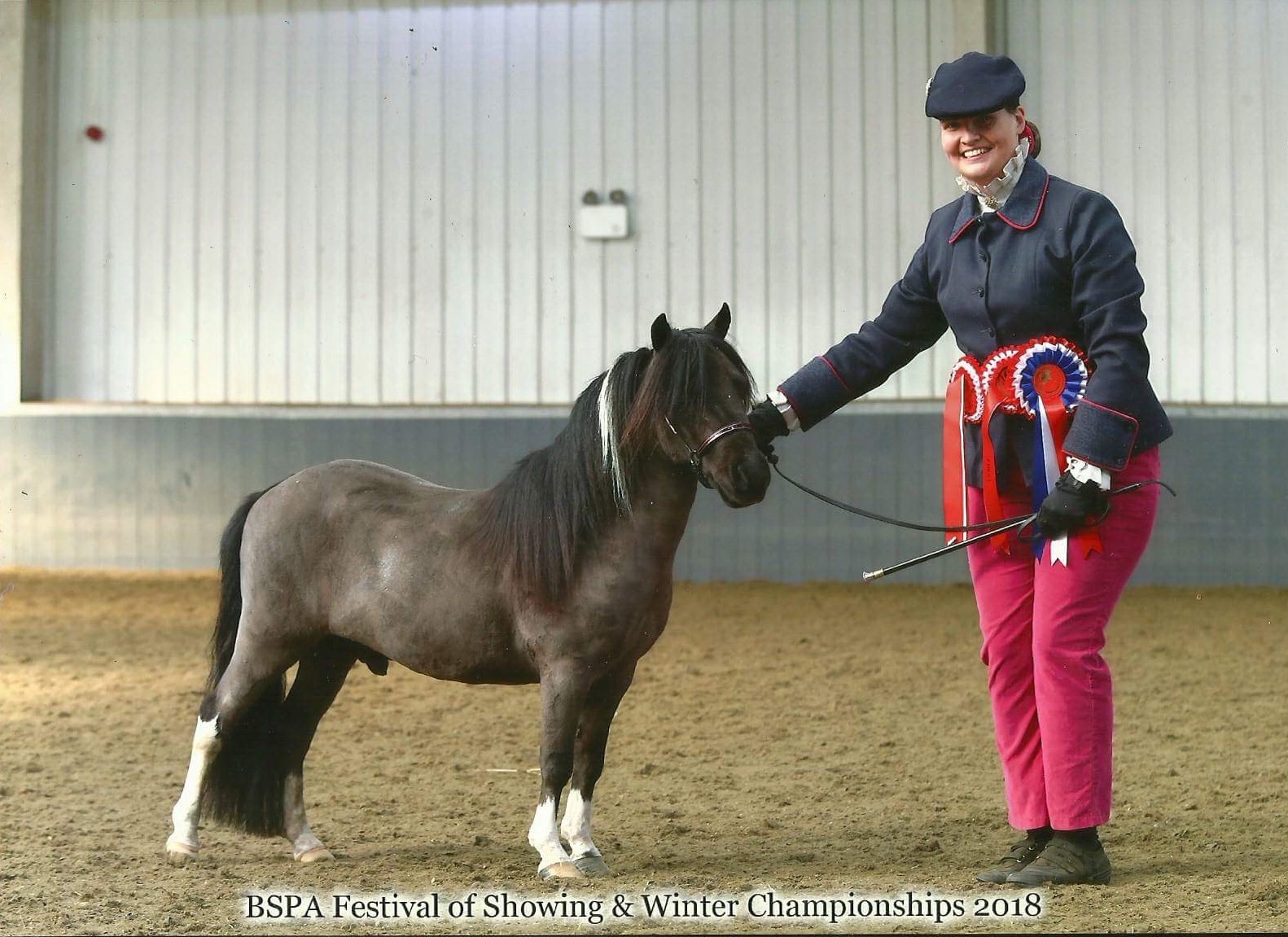 Harriet Wood Horse:Pony Apollos Sol Invictus