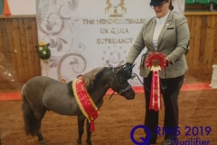 Zoe Sturgess and Blackspirits Little Treasure