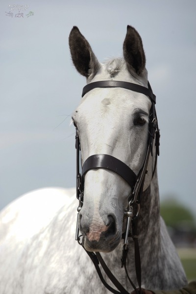 Kay-Ainsworth-and-Heatherdale-Finality