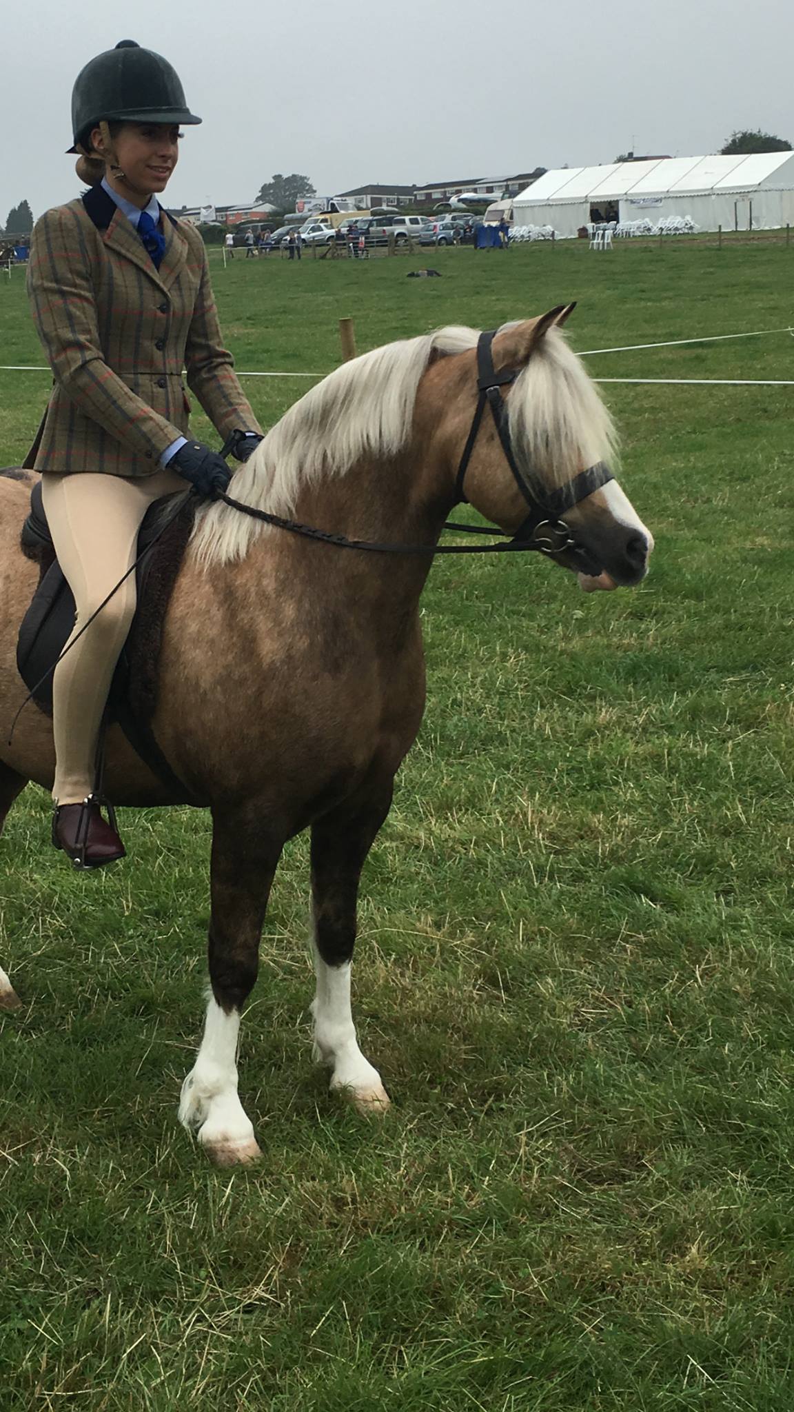 Paige Kelly summerill and llanidan sunbeam