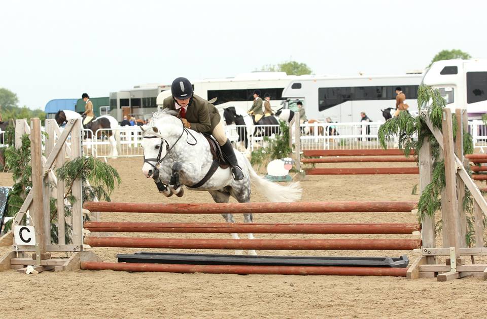 andrea pearman and ffynnonbach llewelyn