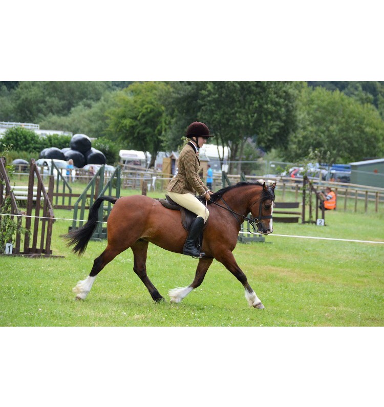Abi voyce and Winton rascal