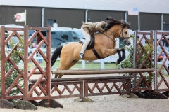 Tori Oakes Horse:Pony Roseberry Model Man