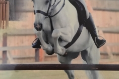 Becca Norris and Hazelrock Sparkle