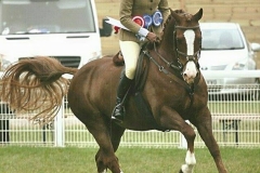 Chloe Burrough and Hares Razzmatazz