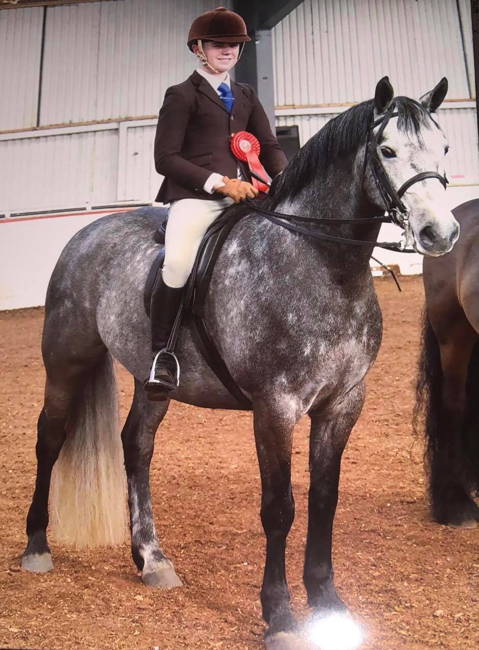 Skellorn Praire Starlight ridden by Harrison Taylor