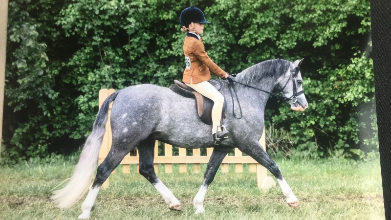 Eugenie Godfrey-Faussett and Weydown Royal Consort