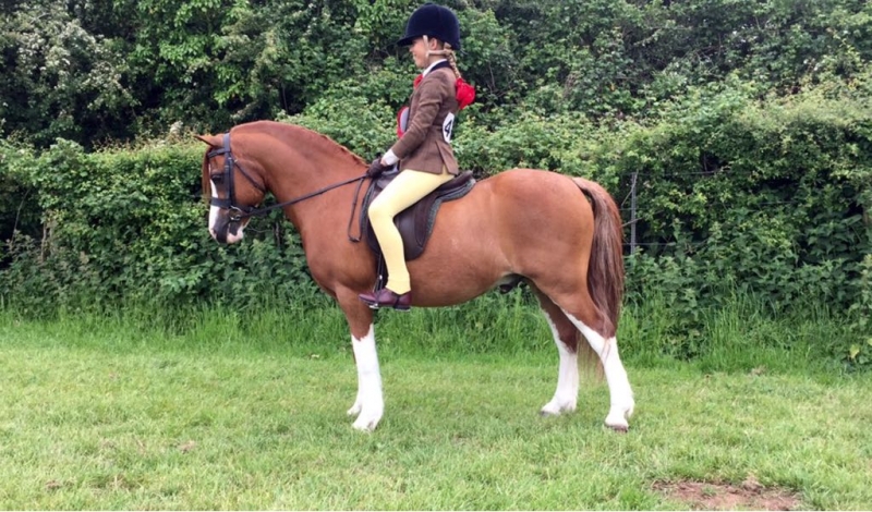 Freya Herring and Elttot Bandit