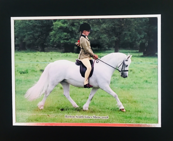 Lauren Tate and Amesbury Lucy Locket