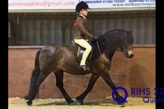 Sophie Simmonds and Pumphill Brosnan