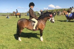 Tess-Lowe-and-Heniarth-Teacake-