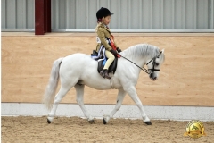 Alice-Hartenfeld-andThistledown-special-VIP