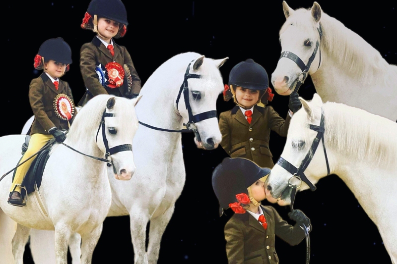 Charlotte-knight-and-Thistledown-princess-Leziza