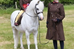 Niamh-Griffin-and-Danwood-Supernova