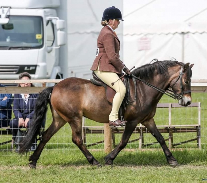 Rachael Fear and Hawkwell Valentine