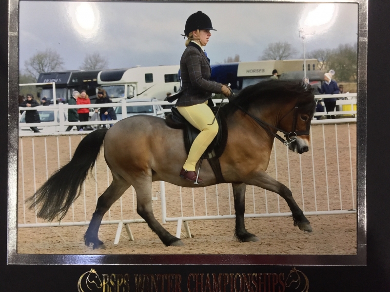 Vicki Casey and Sweetcombe Sunmaker
