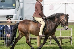 Rachael Fear and Hawkwell Valentine