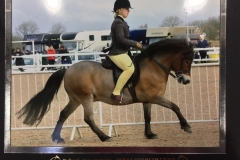 Vicki Casey and Sweetcombe Sunmaker