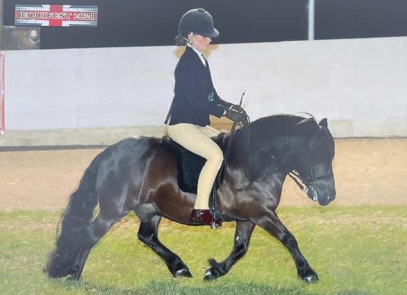 erin-phillips-and-holmhill-valtino