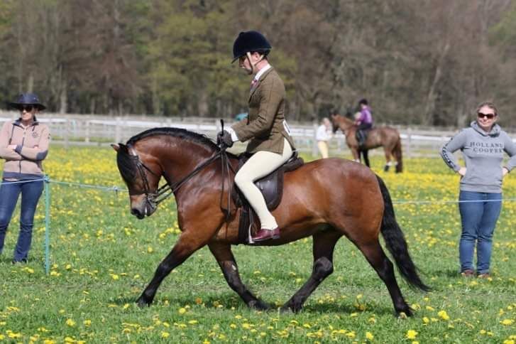liam-Priestley-and-langfield-Hollywood-Heights