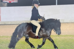 erin-phillips-and-holmhill-valtino