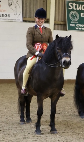 Davinia-johnson-Horse_Pony-Stowbrook-red-kite