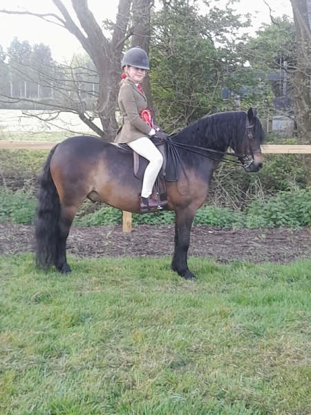 Isobel-Bromilow-Horse_Pony-Cayberry-First-Edition