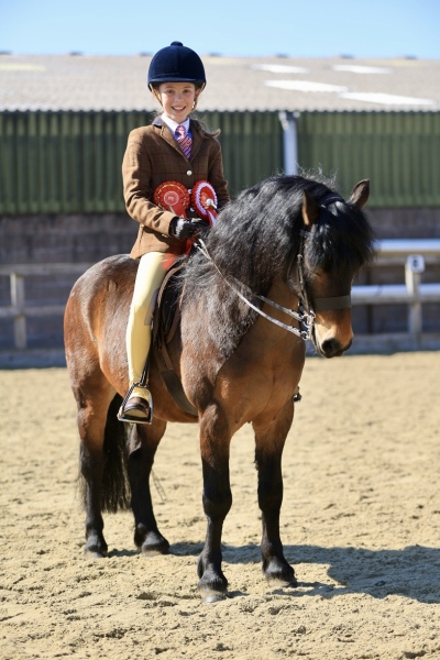 Isobel-Duke-Horse_Pony-Underhill-Pipe-Dream