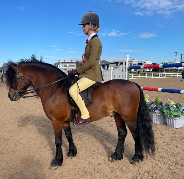 Lily-Varley-Horse_Pony-Moonvale-Master-Solomon