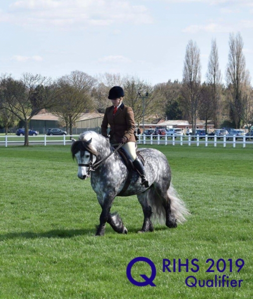 Rhiannon Randall and Bluebraes Merrick