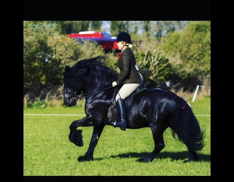 Georgia-Hanson-and-Waterside-Black-Jack