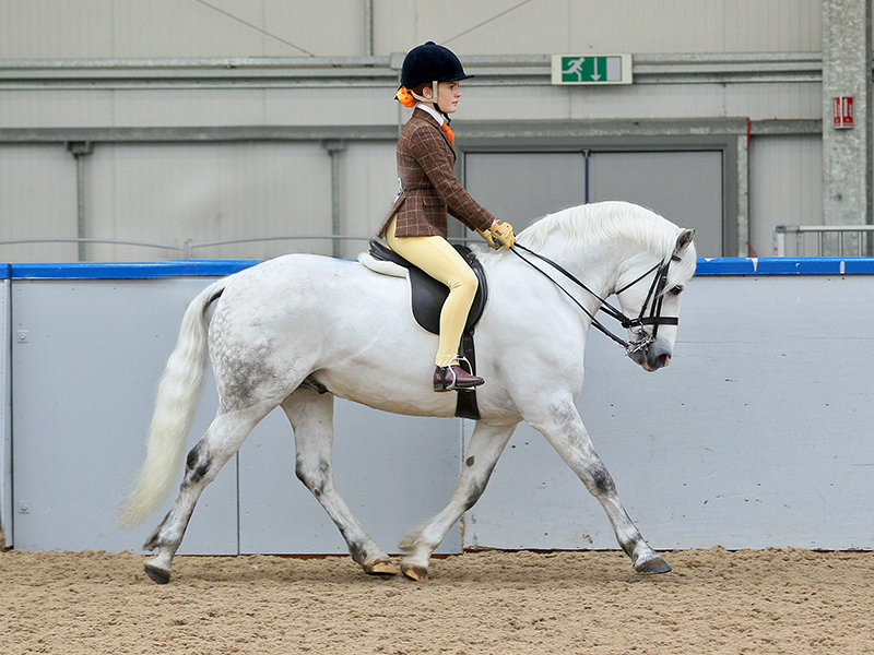 Maria McEihinney and Woodbank Smokey Sam
