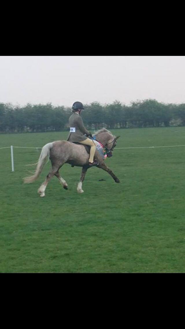 Moelview Milkybar and Livvy Wilkes