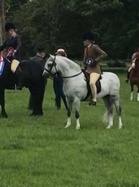 Pontsteffan Safari and Charlotte-Elliot Grooby
