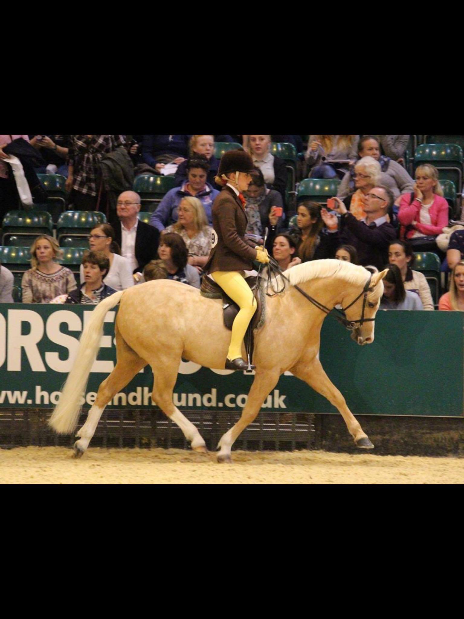 Rowen Hilton and Milford fair breeze