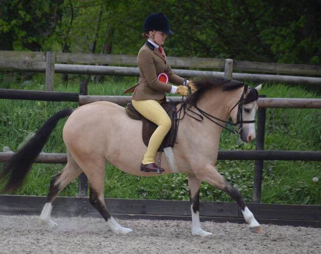 Tori Thomas riding Jenny Halls Griashall Lara