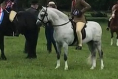 Pontsteffan Safari and Charlotte-Elliot Grooby