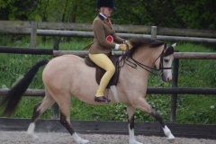 Tori Thomas riding Jenny Halls Griashall Lara