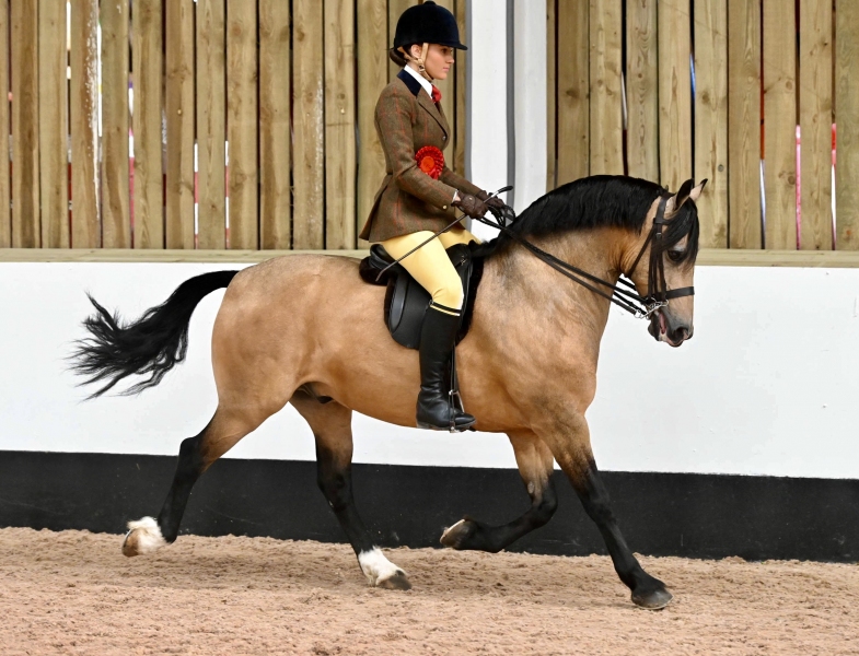 Emily-Carroll-and-Avonvalley-Flash-Harry