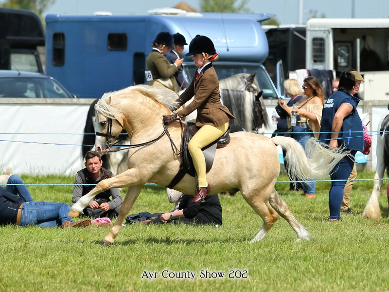 Brooke-Kehoe-and-Pillheath-Prince-Charming-