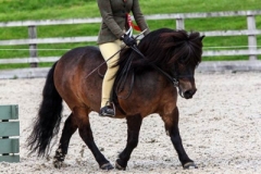 Charlotte Friend and Knix Perfect Pete