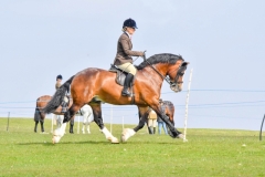 Dannii-Thexton-and-Llandderfel-Prince-Richard