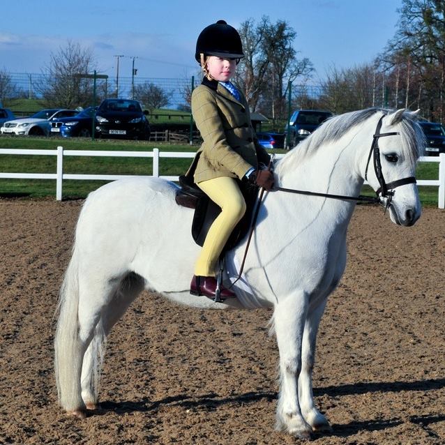 Francesca Lawrence and pony Blackhill Impulse