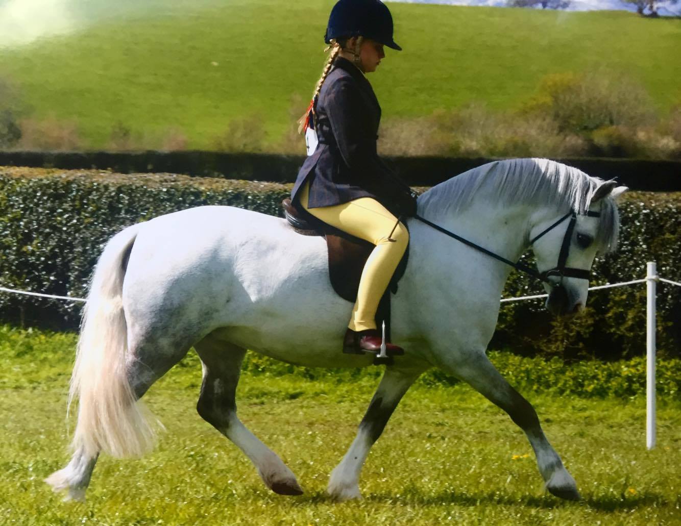 Freya Wilson and Willowdown Verity