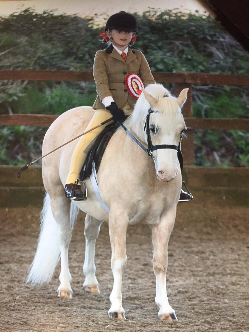 Nantdywyll Caramel Rider Livie Archer-Andrews