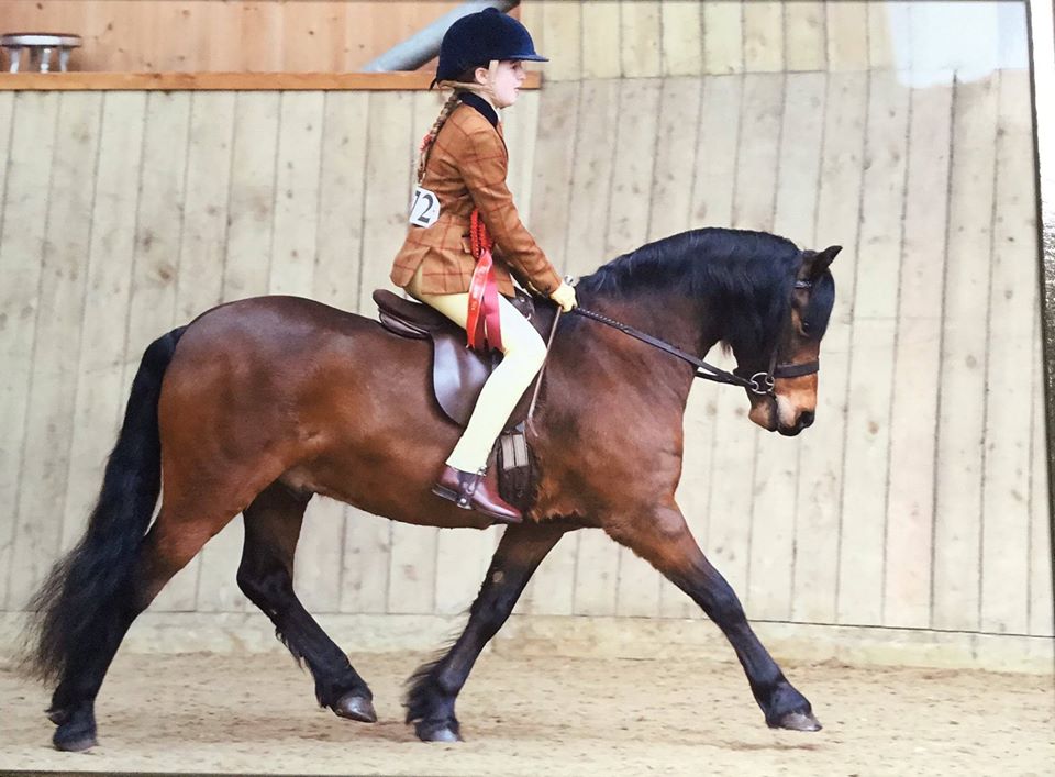 Newoak Star Edition rider Sydney Head