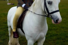 Bonnie Follows andThistledown Scots Luck