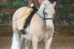 Nantdywyll Caramel Rider Livie Archer-Andrews