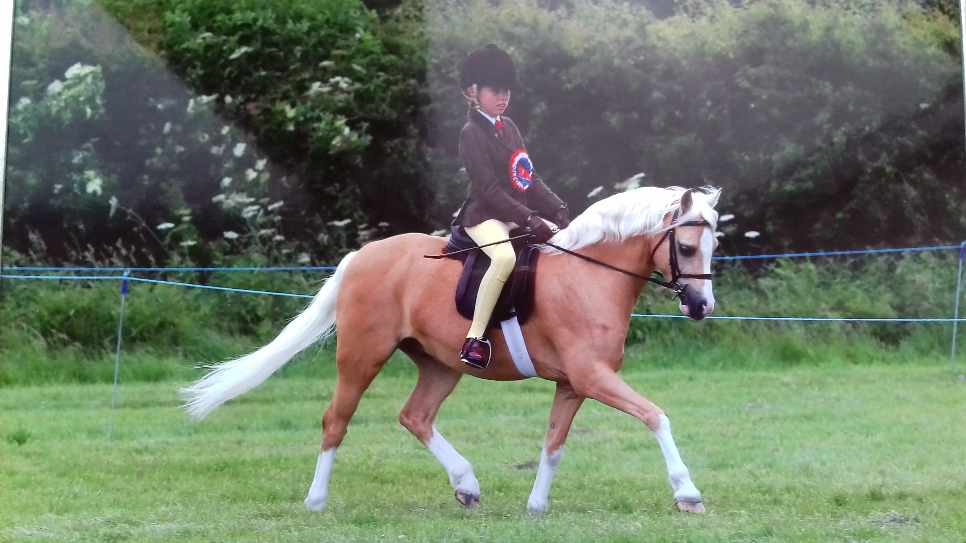 Anya potter-firth and Newtonhill Prince Albert