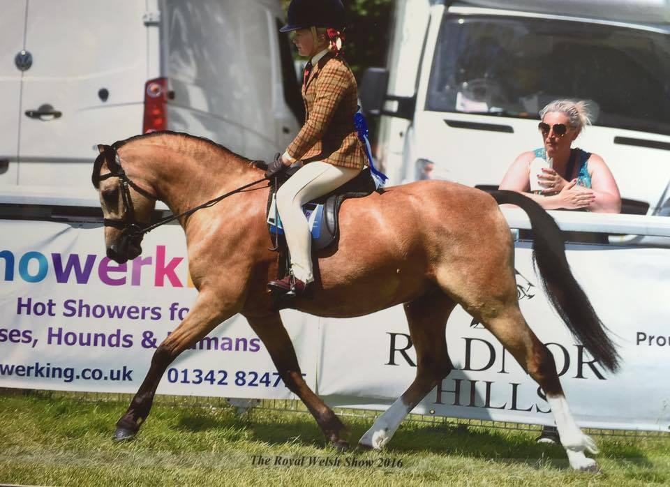Chloe-may Smith and desarbre sparrow hawk